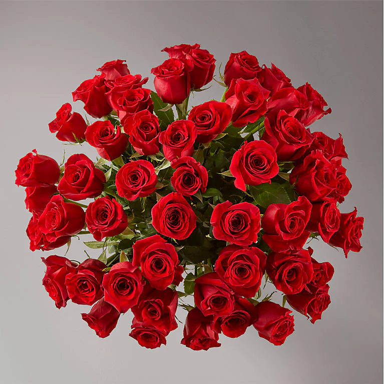 Groupon 24 Rose Rosse – Vendita Fiori e Piante online